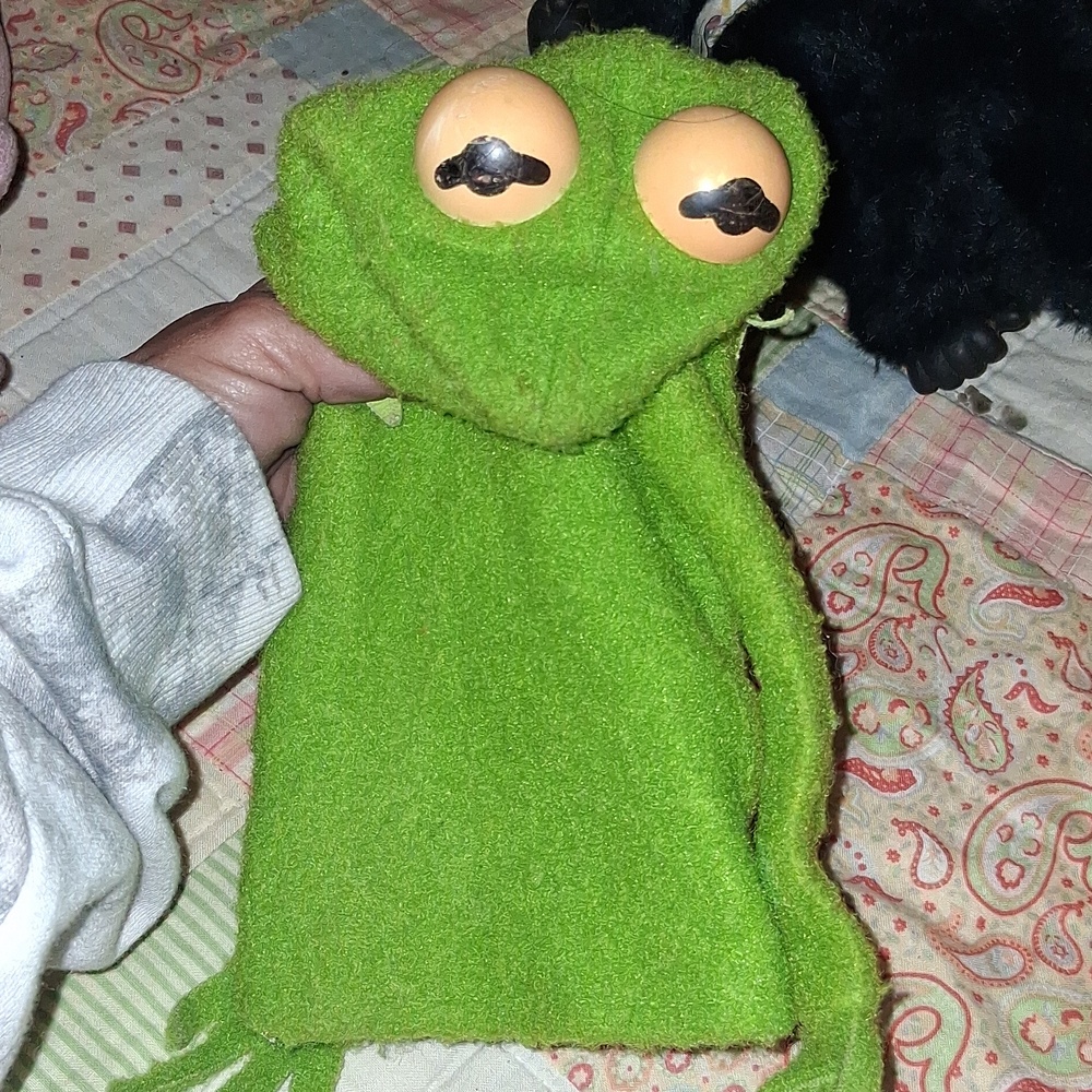 Fisher-Price Green Plush Toy